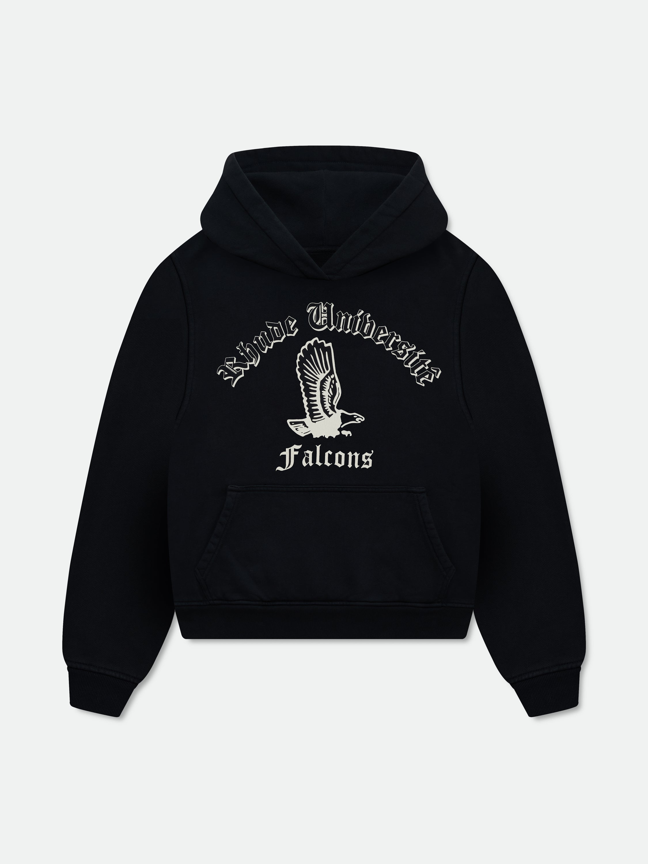 COLLEGIATE FALCONS HOODIE - VTG BLACK