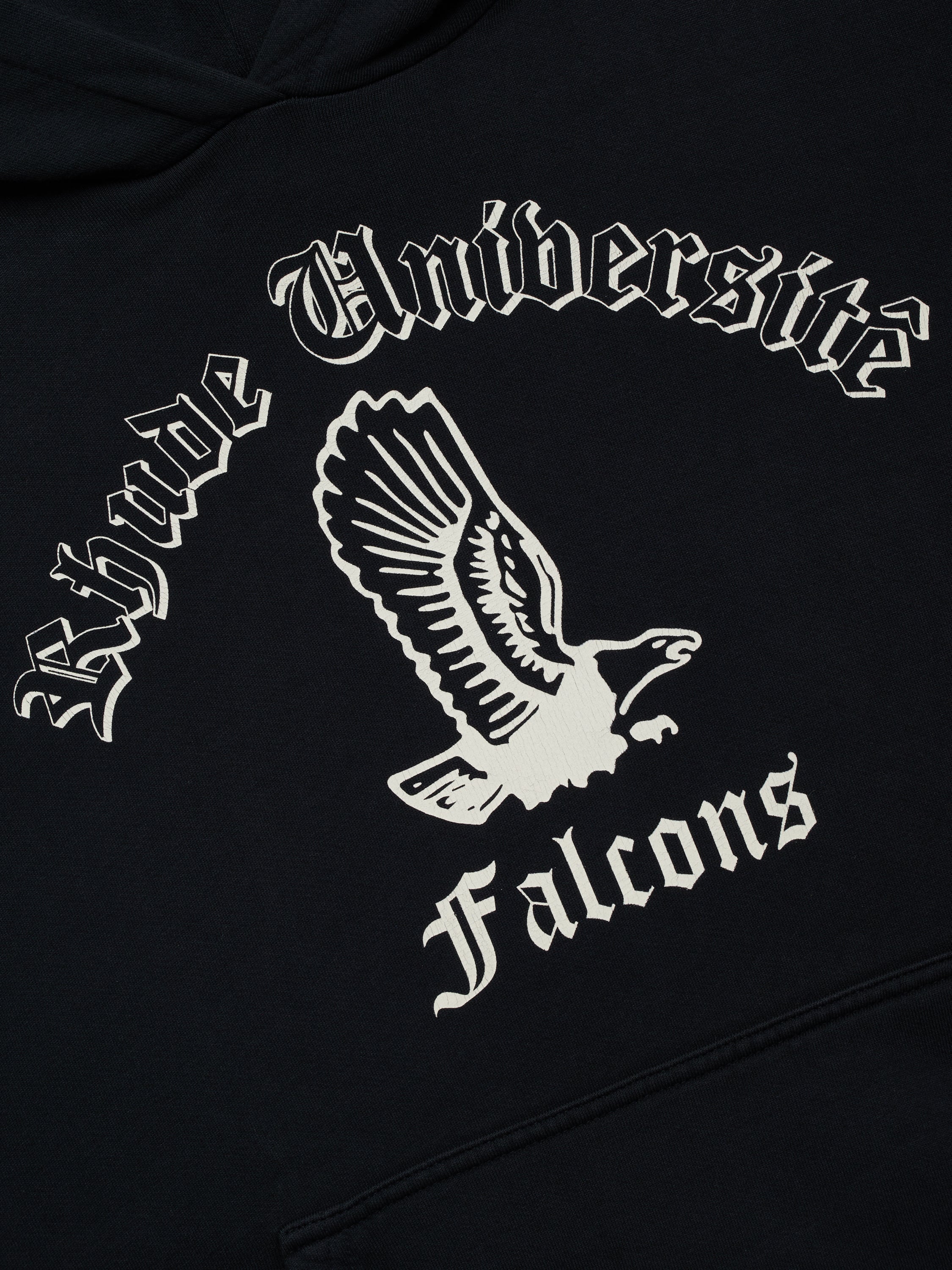 COLLEGIATE FALCONS HOODIE - VTG BLACK