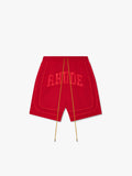 BAGGY COLLEGIATE LOGO SHORT - RED\/RED